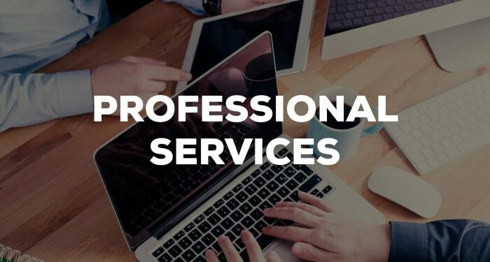 What Are Professional Services : Definition and Examples | GGS